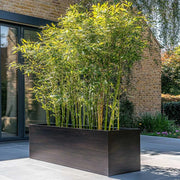 #L100cm x W40cm x H40cm #Black Copper